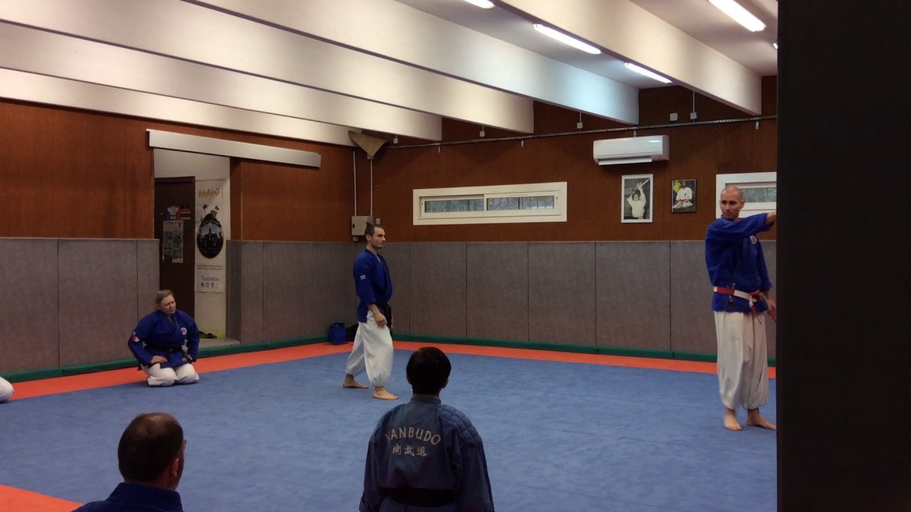 Randori Irimi No Kata - Explications techniques par Dai Shihan Leo RAFOLT - NCB MARS 2017