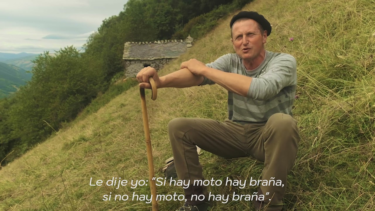 Benito Mingón Hijos de la Braña - Ternera Asturiana