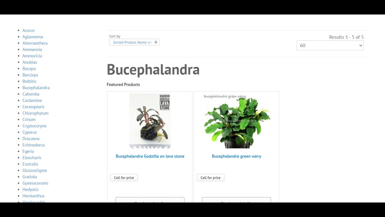#نباتات#الاحواض#السهله#العناية#بدون_متطلبات#