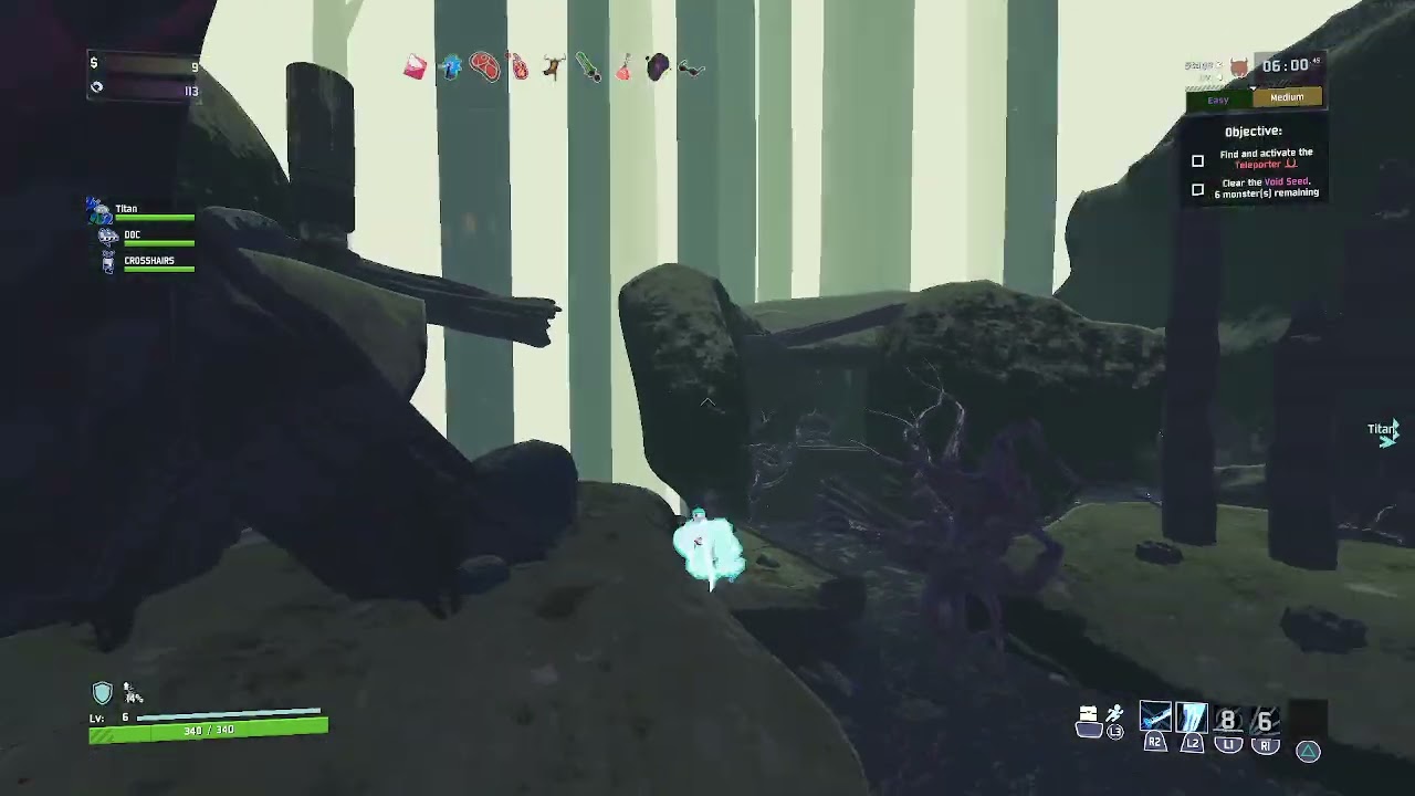Risk of rain 2 Multiplayer