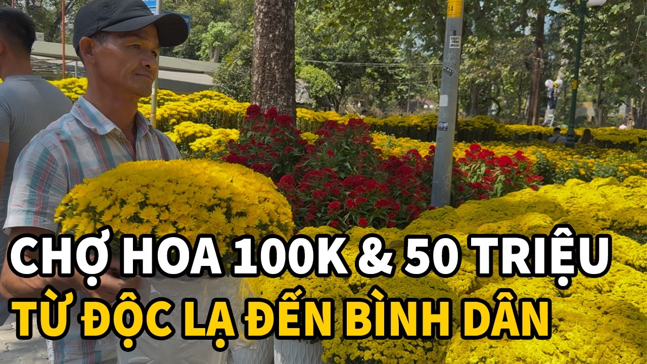 To&agrave;n cảnh CHỢ HOA TẾT ở trung t&acirc;m S&agrave;i G&ograve;n: Từ b&igrave;nh d&acirc;n 100k đến si&ecirc;u phẩm 50 triệu đồng, rất đẹp