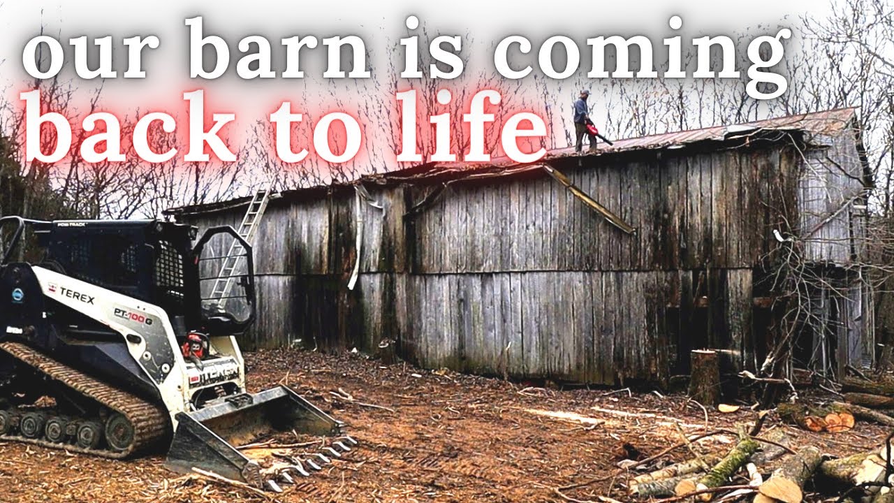 Bringing a Barn back to Life after 20yrs of Neglect - Days 2 & 3