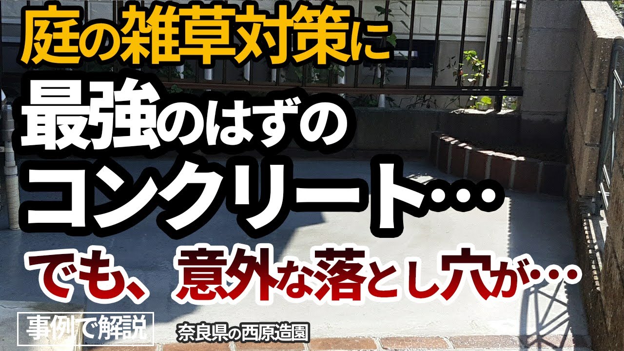 庭の雑草対策はコンクリートが最強！でもこの落とし穴、知らないと大後悔！