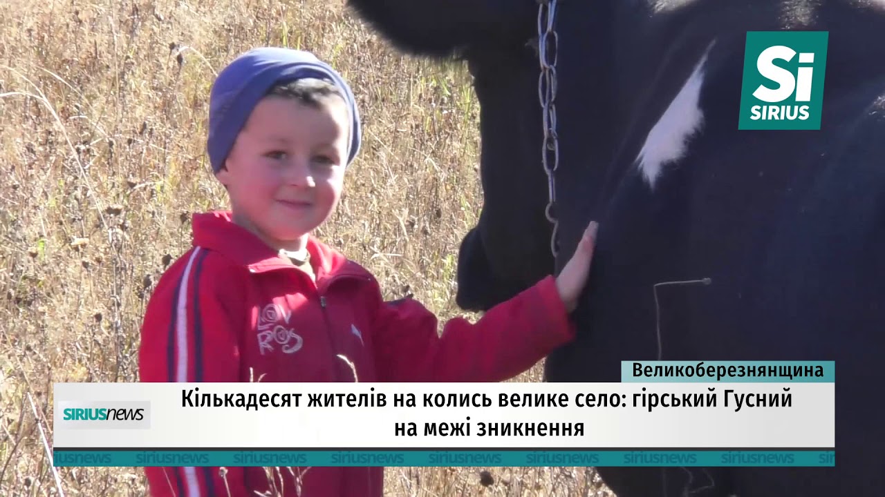 Гусний на межі зникнення