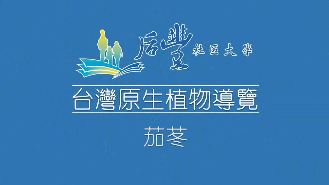 台灣原生植物導覽 - 台灣四大神樹~茄苳
