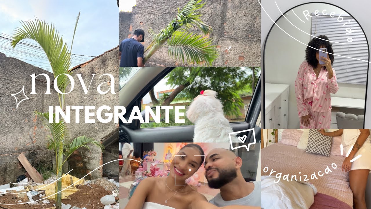 GANHAMOS UMA PALMEIRA 🌴 | RECEBIDOS DA SHEIN | BATE PAPO | DICAS | ORGANIZAÇÃO ✨