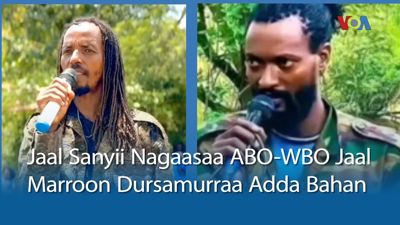 Jaal Sanyii Nagaasaa ABO-WBO Jaal Marroon Dursamurraa Adda Bahuu Isaanii Beeksisan| VOA Afaan Oromoo