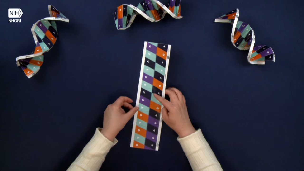 DNA Origami