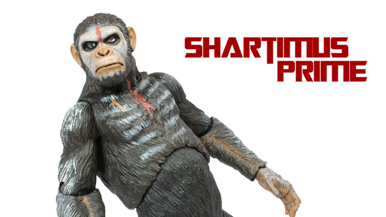 Dawn of the Planet of the Apes Caesar NECA Action Figure Review