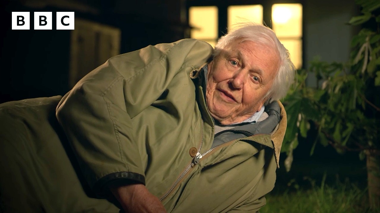 Sir David Attenborough sends a hedgehog on his way 🦔 | Wild London - BBC