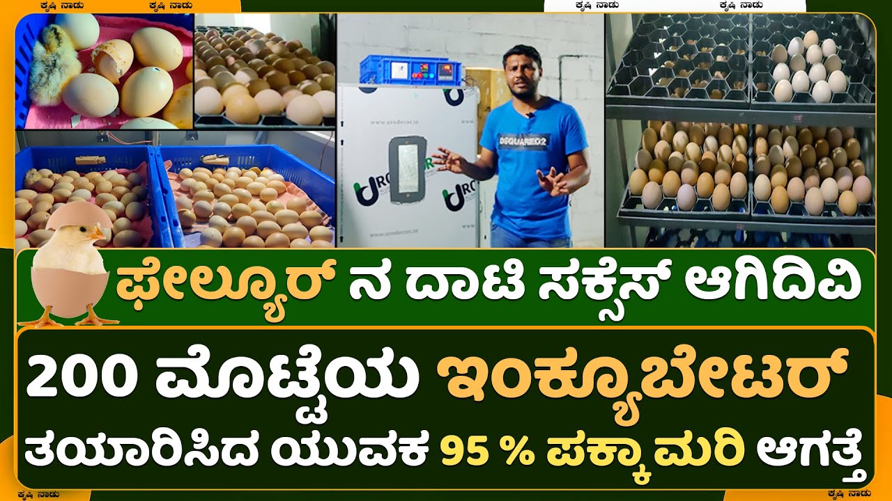 EGG INCUBATOR || ಒಂದು ಸಾವಿರ ಮೊಟ್ಟೆಯ Egg ಇಂಕ್ಯೂಬೇಟರ್ || Egg Haching Machine