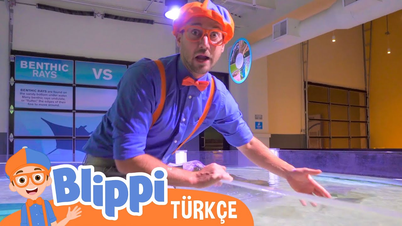 Blippi Bir Akvaryumu Ziyaret Ediyor | Blippi Türkçe - Çocuklar için eğitici videolar | Türkçe Dub
