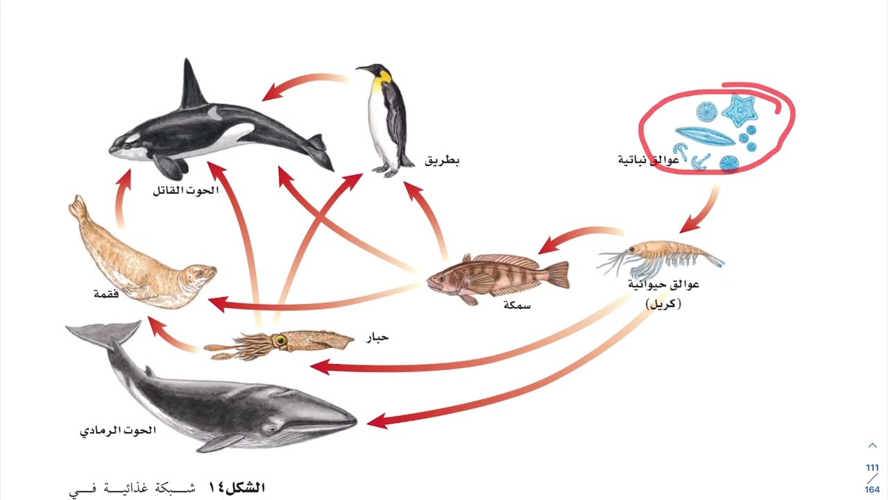 المخلوقات الحية والبيئية والطاقة (٢) علوم اول متوسط 1444