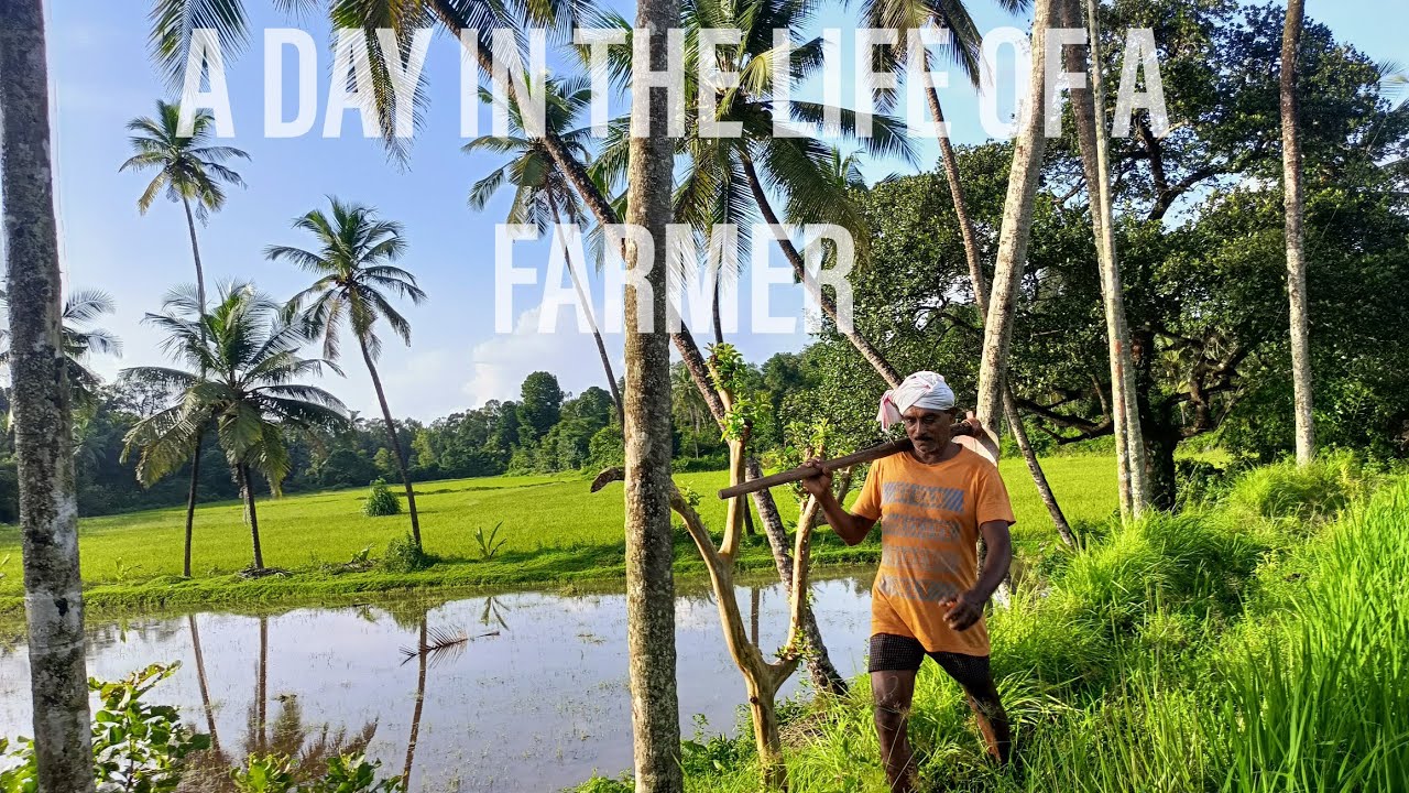 A day in the life of a south Indian farmer.
