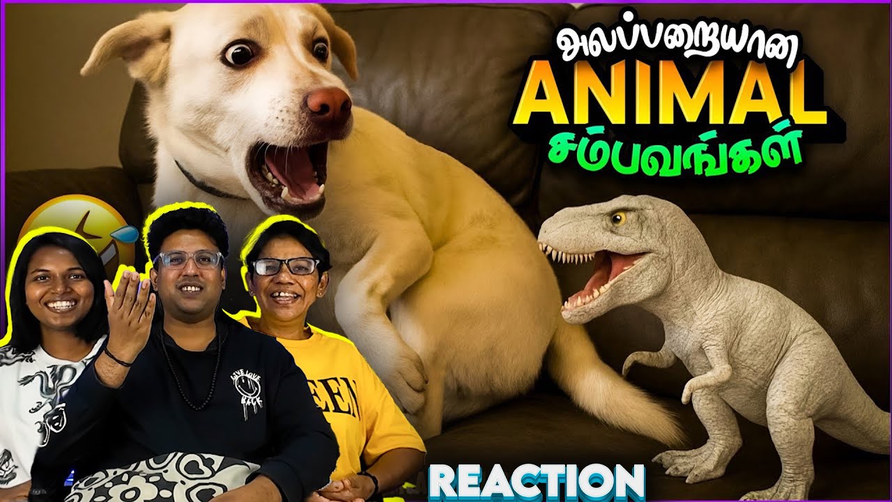 Animals Funny Kiya Miya Reaction 😂 | Ramstk Family@themagnetfamily2.0