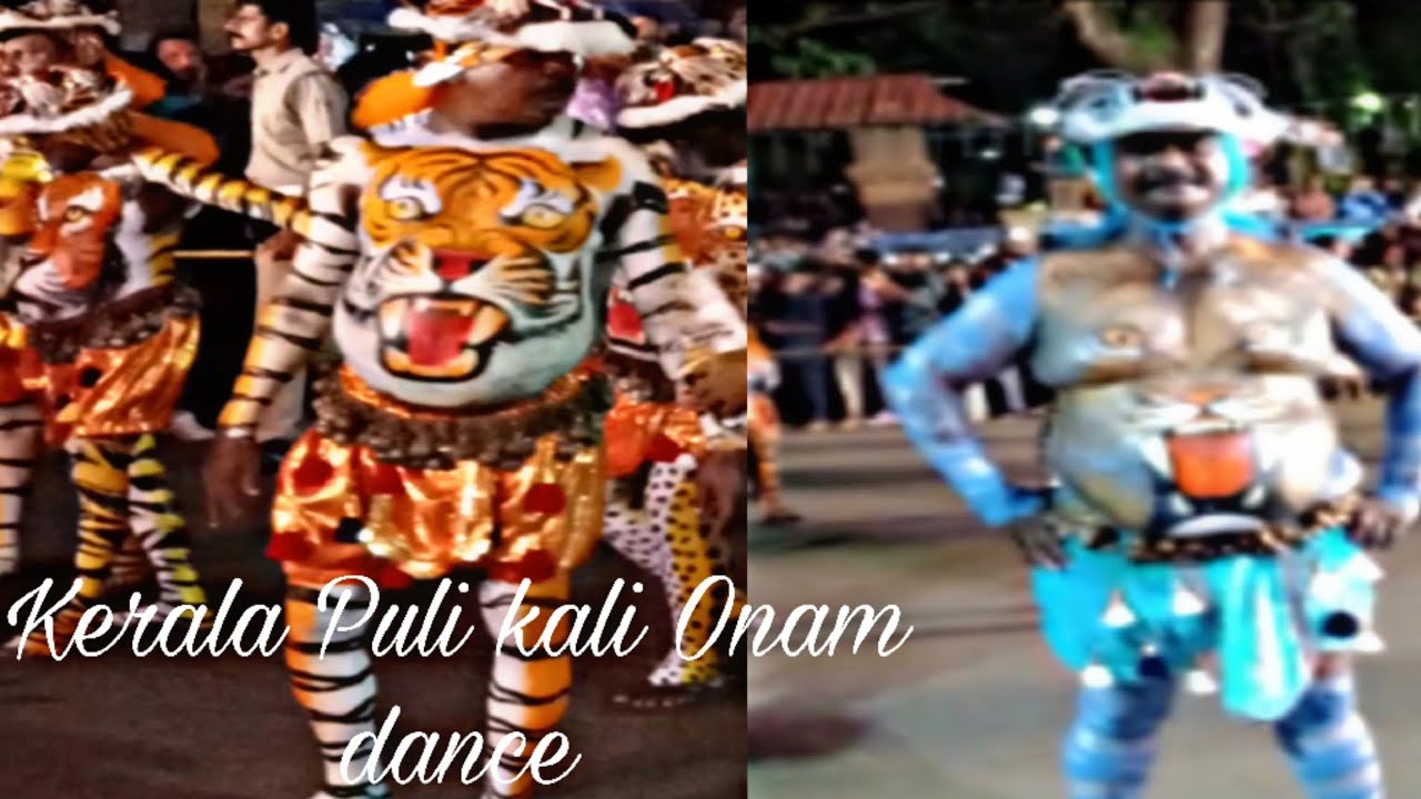 কেরালার অনাম স্পেশাল|Kerala's Onam Special Pulikali🦁🐯2025 Dance#onam#pulikali #marjinavlog