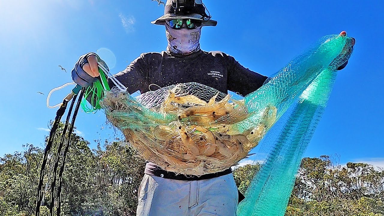 BIG summer prawns are here!