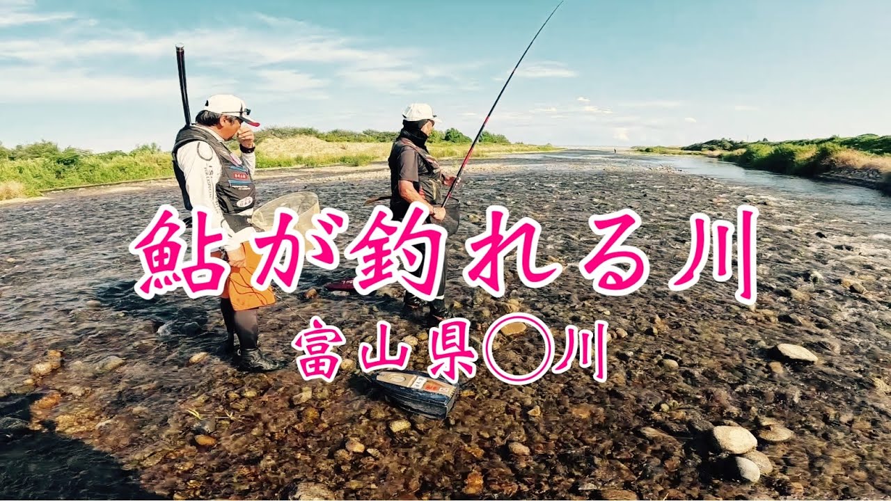 【富山の天然遡上鮎釣り】巨匠が100匹で師匠68匹の俺26匹…