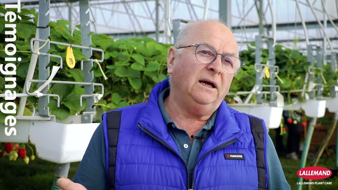 PAROLES D'Utilisateurs : Fraises de Plougastel, comment optimiser & protéger ses cultures ?