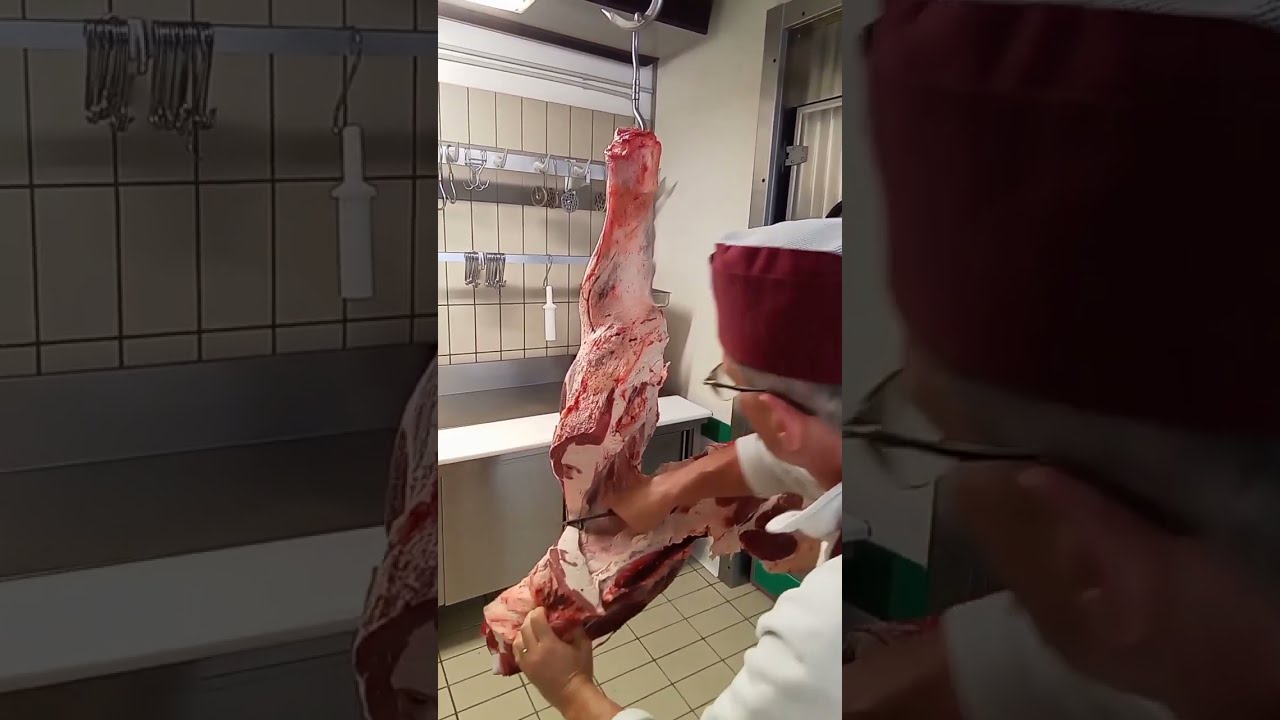 Anteriore di bovino come lo disosso.