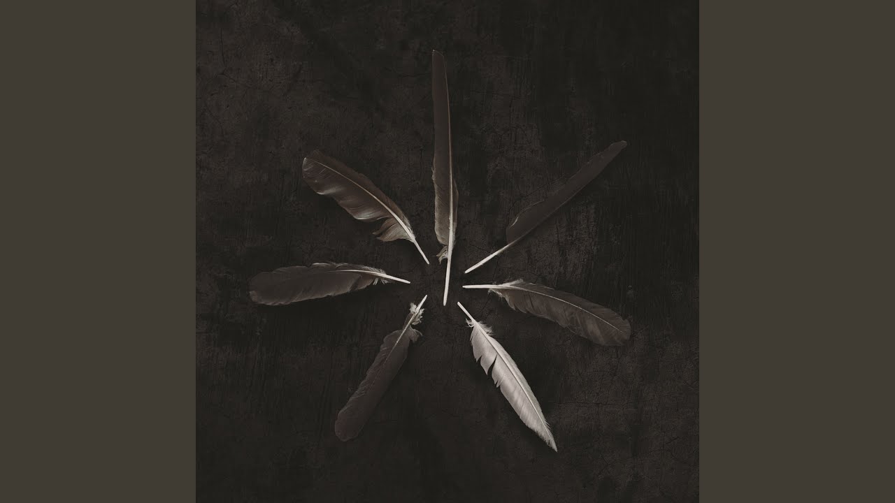 Darkfield