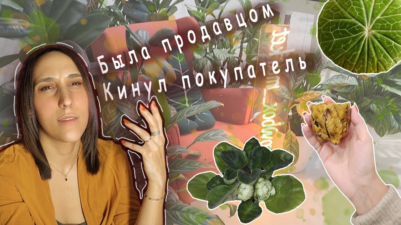 GrowBox маркет/была продавцом/кинул покупатель/своп