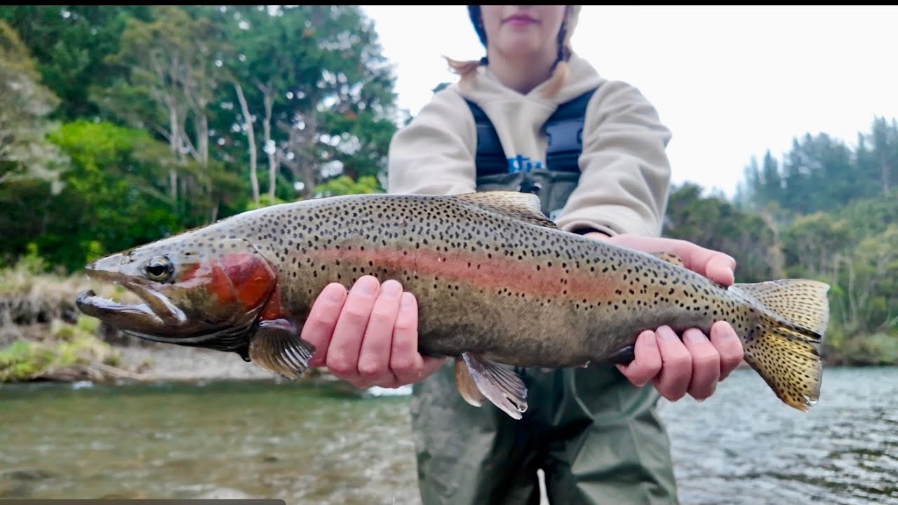 Winter Fly Fishing in Taupo // Matariki Weekend // 2024