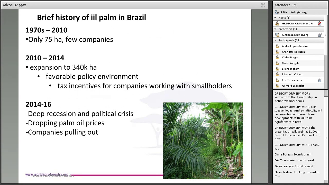 Scaling up Sustainable Oil Palm Agroforestry Systems: Lessons from the Brazilian Amazon