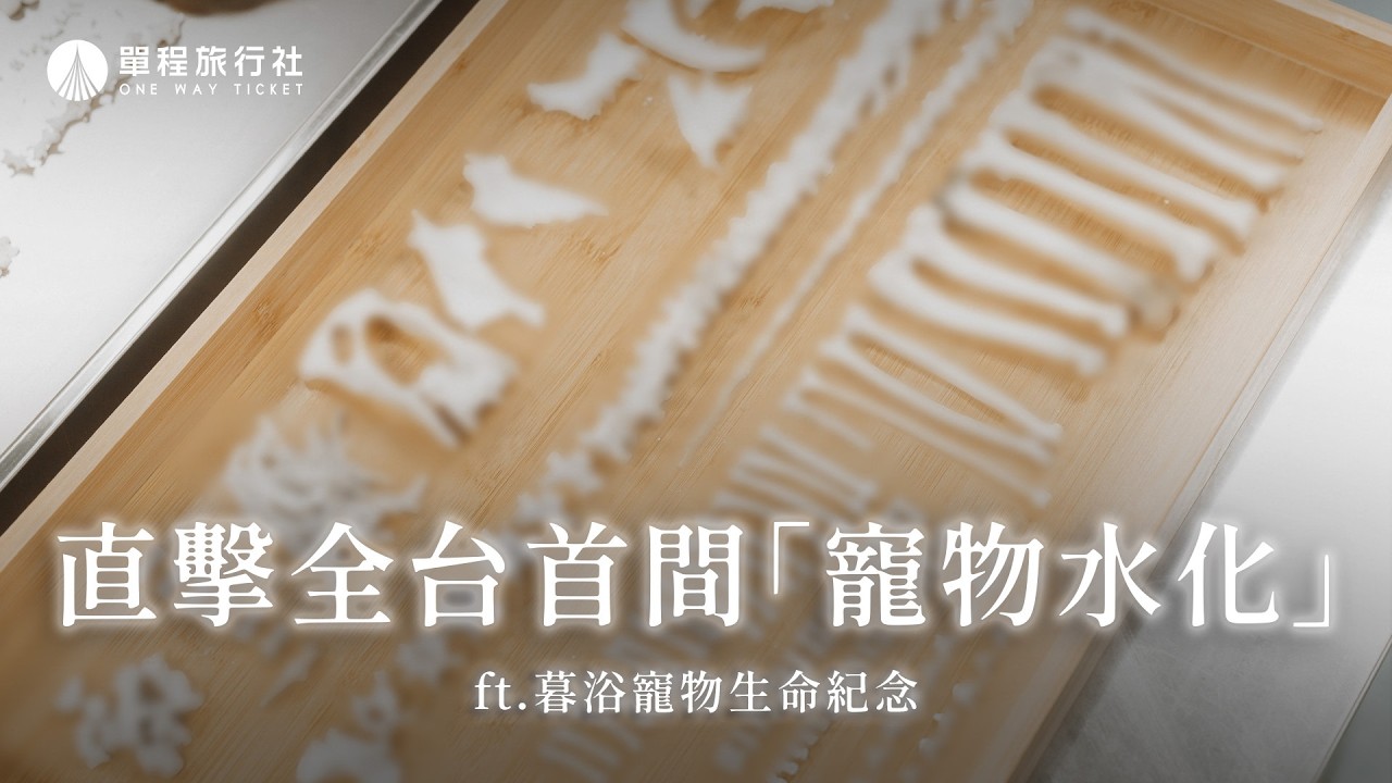 水化是什麼？毛孩的最後一哩路，可以更溫柔！《單旅出走中》 ft.暮浴寵物禮儀 【單程旅行社】