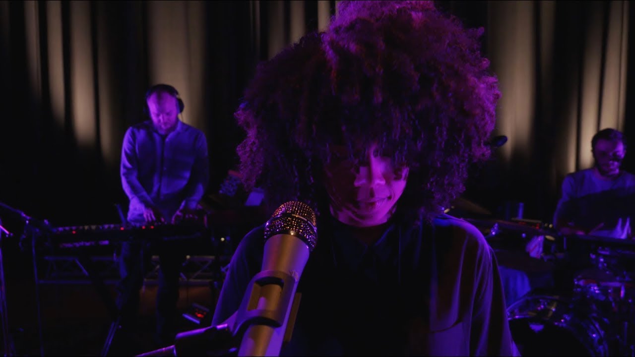 AAPNOOTMIES - Vogel Zonder Grens (Live sessie)