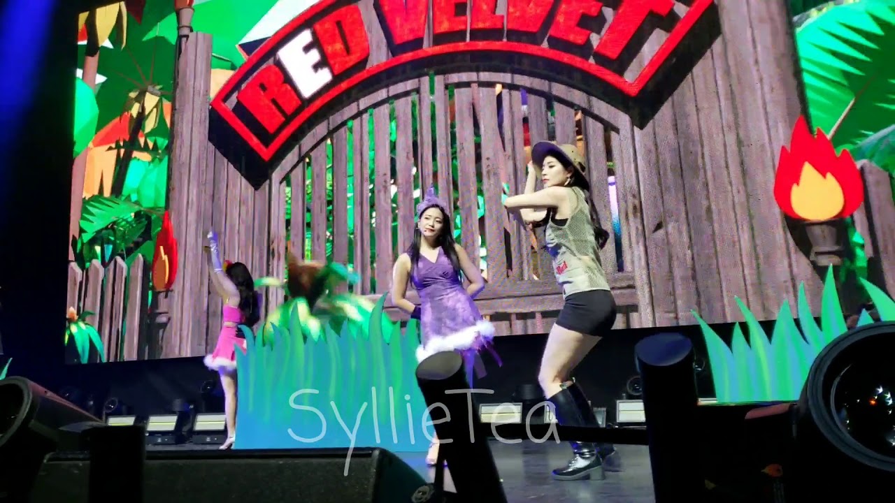 FANCAM - Mr. E - Red Velvet REDMARE in Chicago 2019 (Front row)