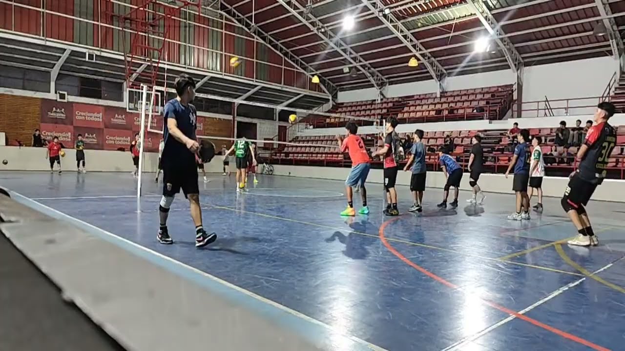 Fenix volleyball club está en vivo