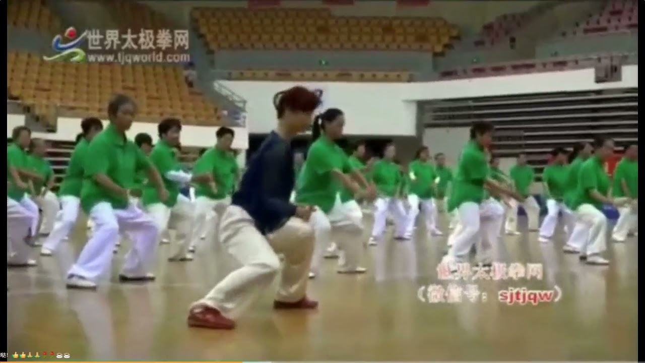 DONGYUE TAIJIQUAN ROUTINE 1