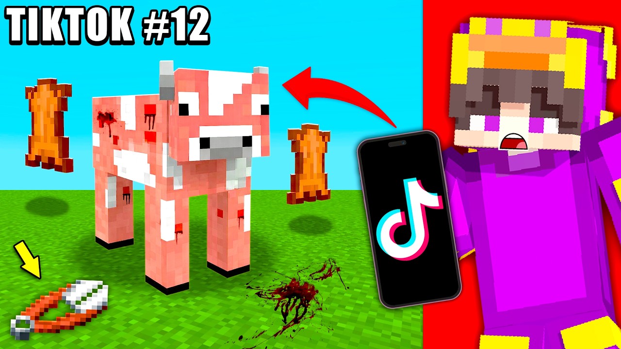 Probé 10 TIKTOKS VIRALES de Minecraft