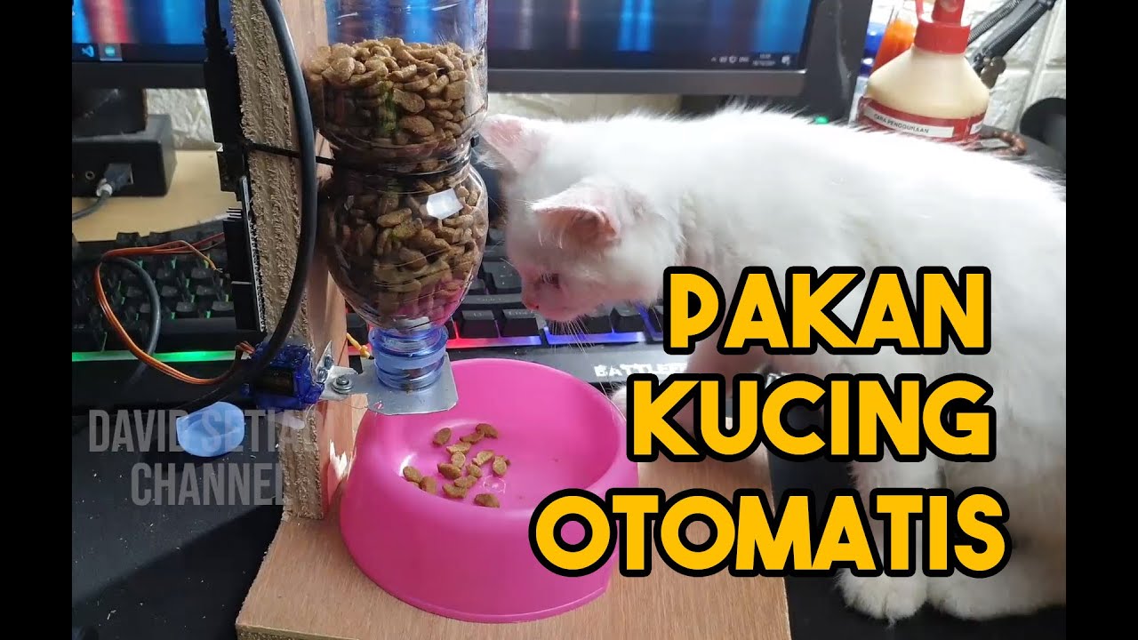 DIY Pakan Kucing Otomatis sederhana dengan Arduino dan servo (Auto Feeder Sederhana)