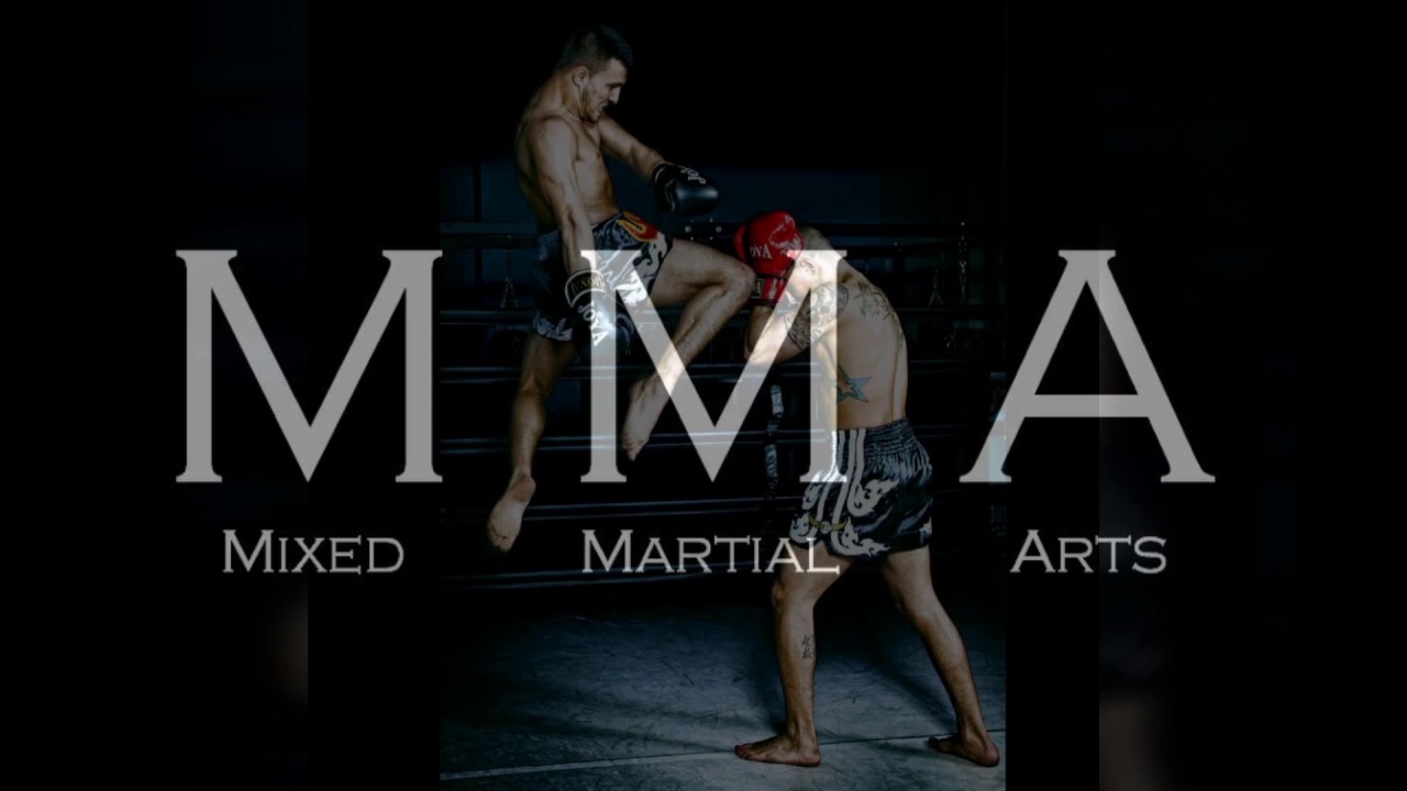MMA LUXEMBOURG OCTOGONE GYM