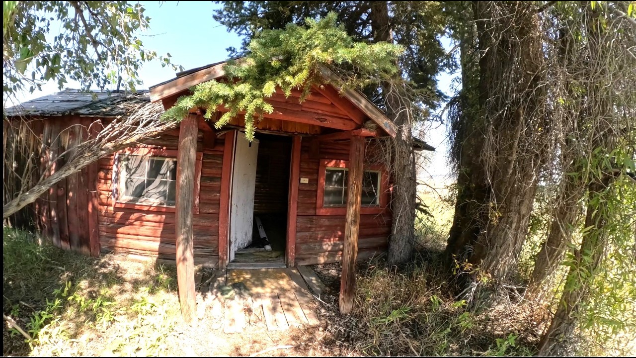 Abandoned Wyoming Homestead #3 -  Untouched Log Cabins