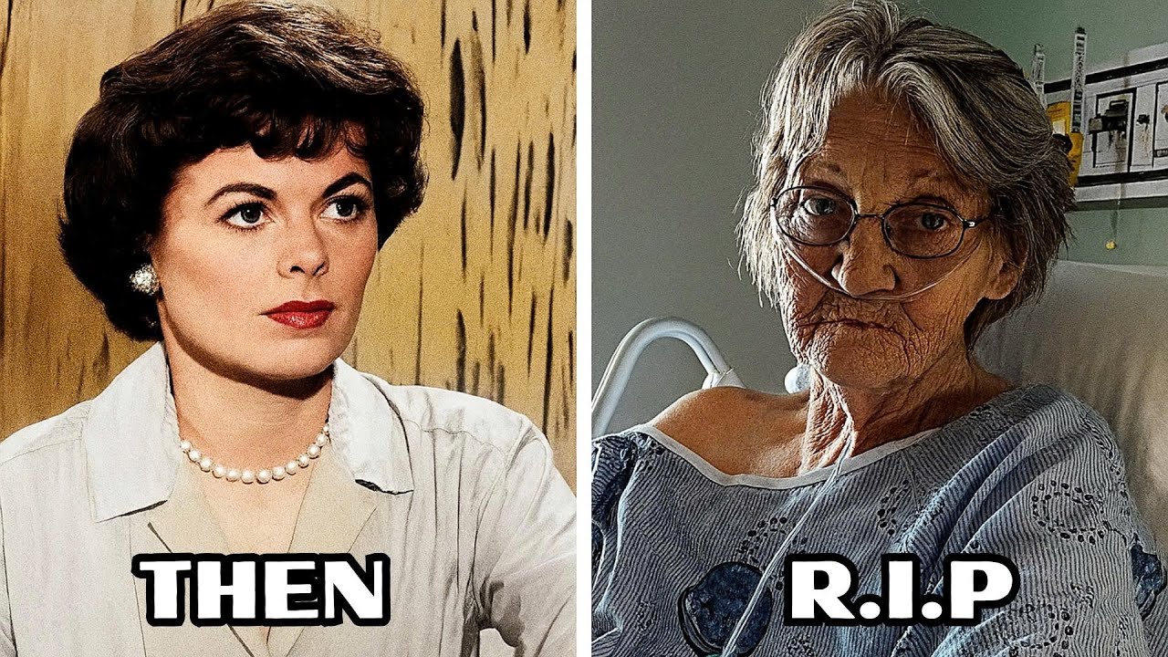 Perry Mason 1957 Cast Then And Now 2025, How They Changed?