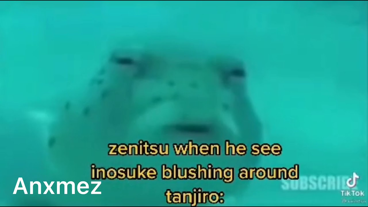Inoten (Inosuke x Tanjiro) TikTok complication| No thumbnail|Not my TikToks| Anxmez