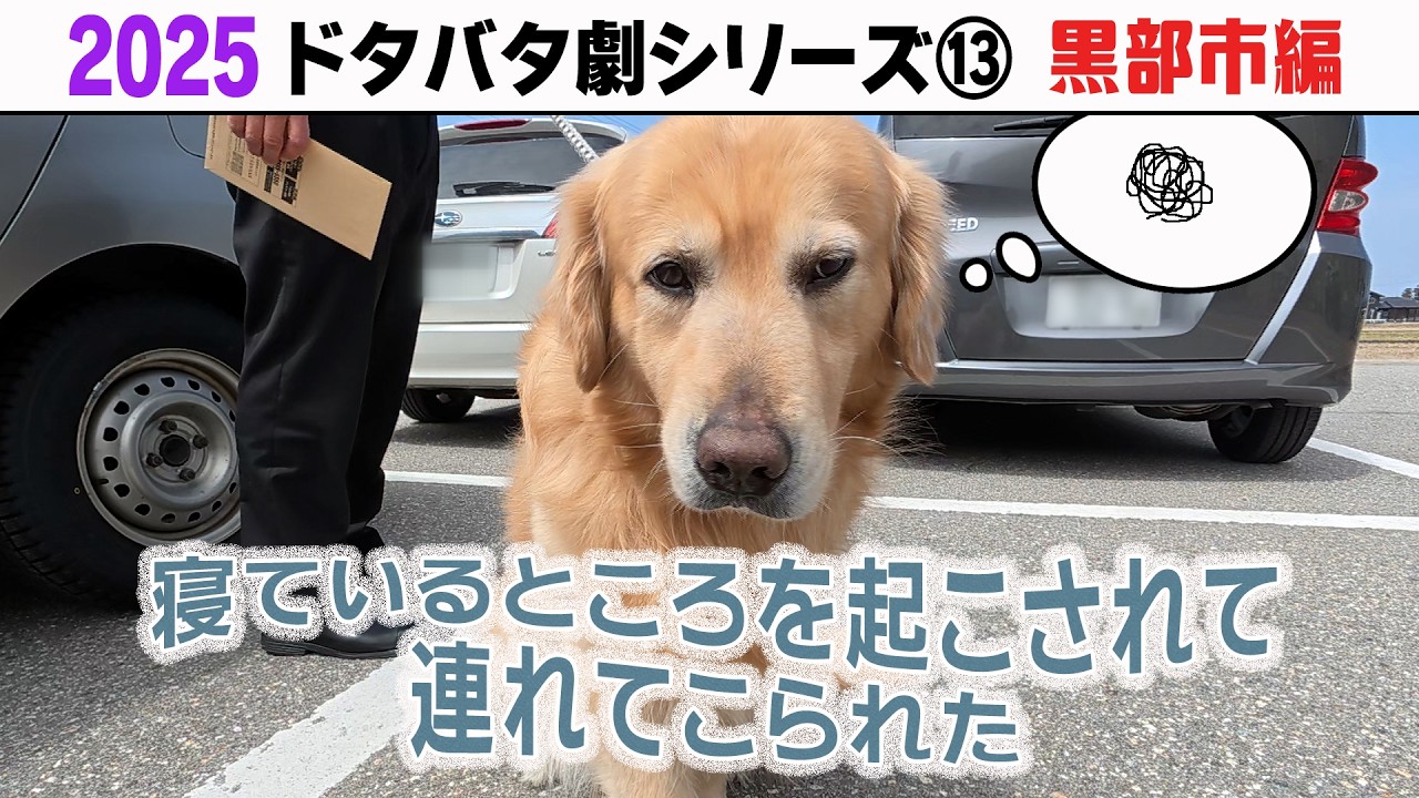 2025狂犬病予防注射会場のドタバタ劇⑬ 黒部市編