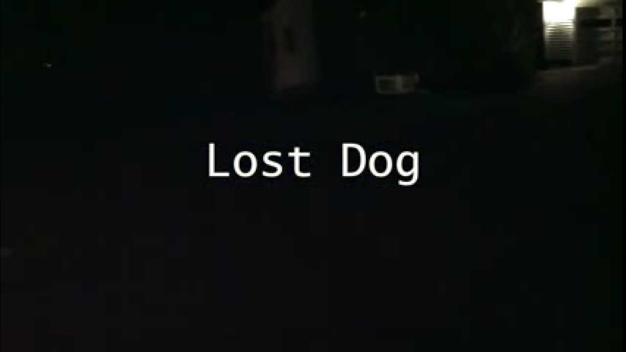 W&K Studios: Lost Dog [HD]