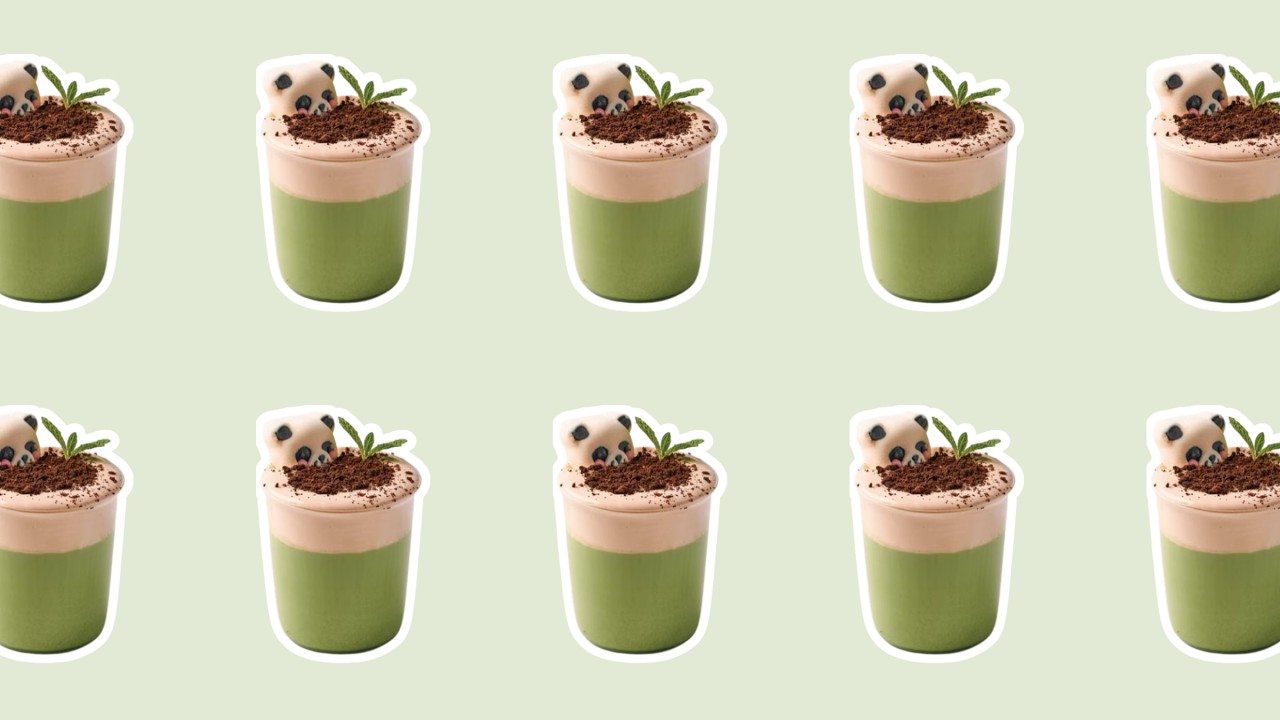 Matcha Tea Screen | 60 Minutes