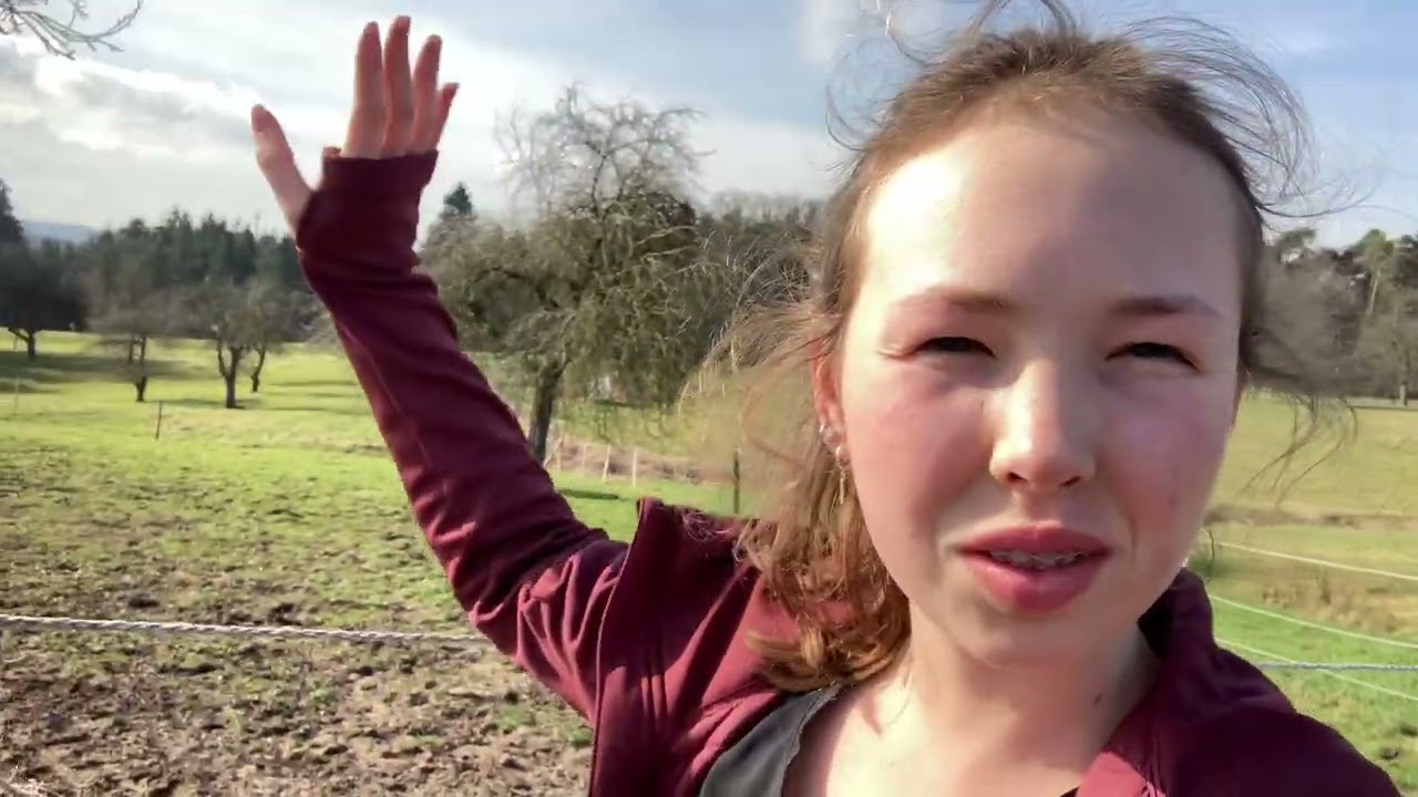 Stallvlog Dienstag 