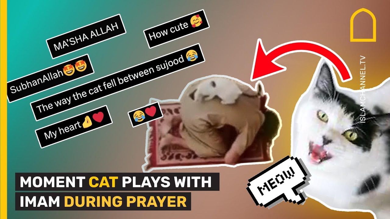 MOMENT CAT PLAYS WITH IMAM DURING PRAYER