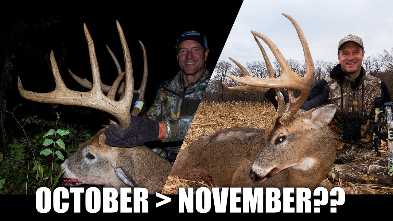 Is October Better than November? | Bowhunting Whitetails w/ Bill Winke