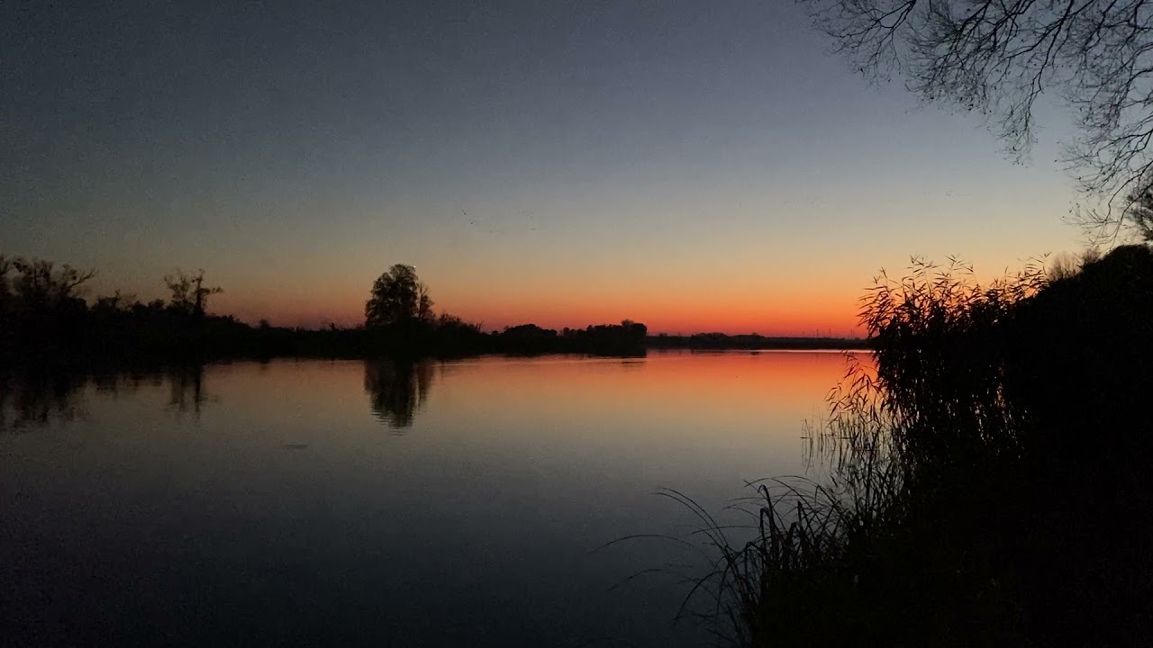 20 Sekunden Uckermark - Vogelzug im Nationalpark Unteres Odertal