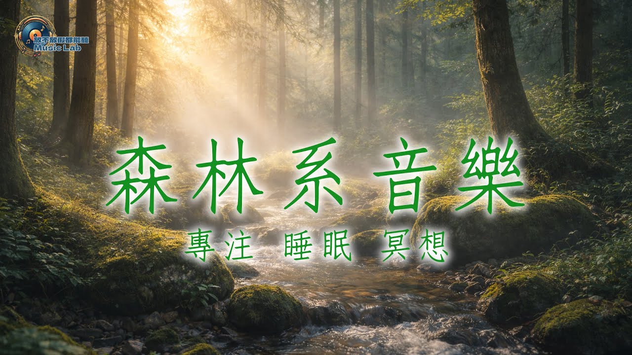 Forest Piano & Guitar 🌿 森林系鋼琴與木吉他｜自然系放鬆音樂（1 Hour）EP4