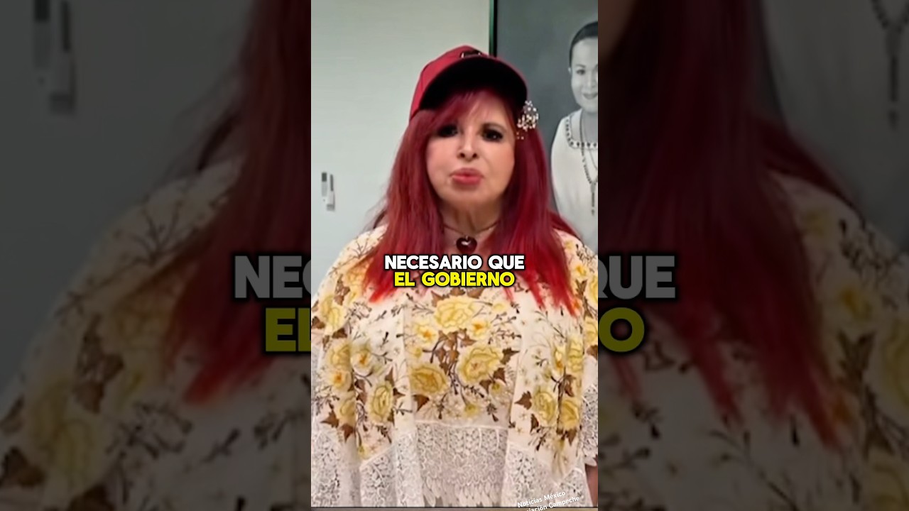 Qu&eacute; pasa con la ley de expropiaci&oacute;n de Campeche #viral #shorts #noticiasmexico