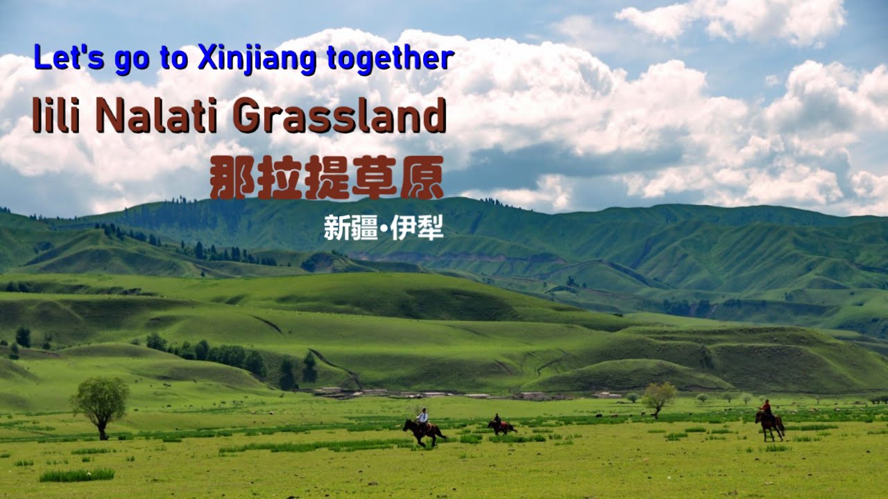 Let's go to the Nalati grassland in Ili, Xinjiang  🛣️  我们一起去新疆伊犁那拉提草原