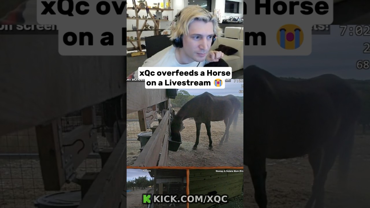 xQc overfeeds a Horse on a Livestream 😭 #xqc #streamer